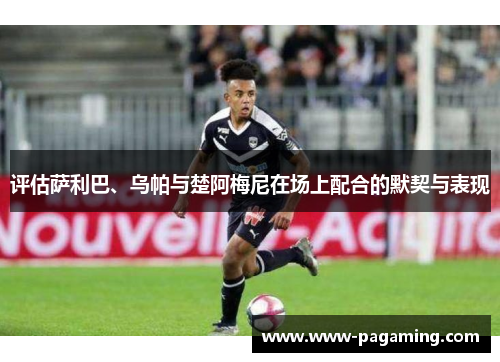 评估萨利巴、乌帕与楚阿梅尼在场上配合的默契与表现 评估萨利巴、乌帕与楚阿梅尼在场上配合的默契与表现