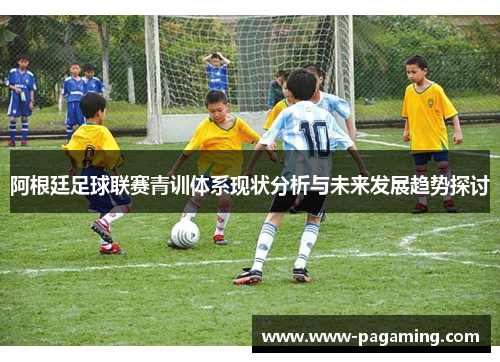 阿根廷足球联赛青训体系现状分析与未来发展趋势探讨