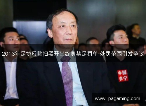 2013年足协反赌扫黑开出终身禁足罚单 处罚范围引发争议